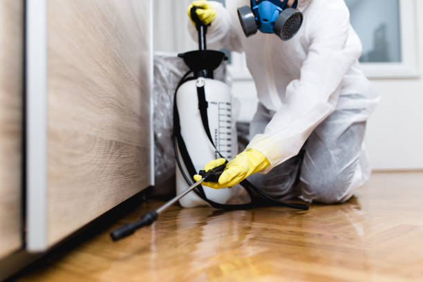Pest Control Cost in Benson, UT