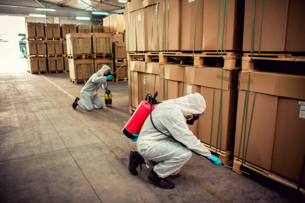 Pest Prevention Services in Benson, UT
