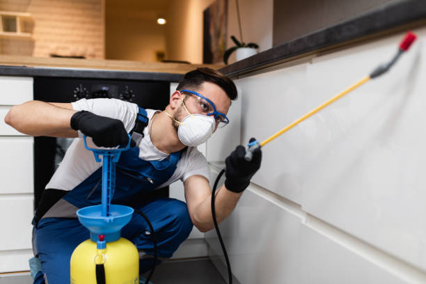 Best Pest Control Near Me  in Benson, UT