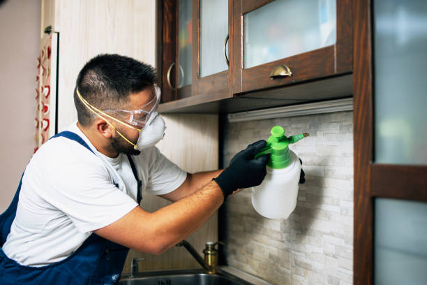 Best Best Pest Control Companies  in Benson, UT