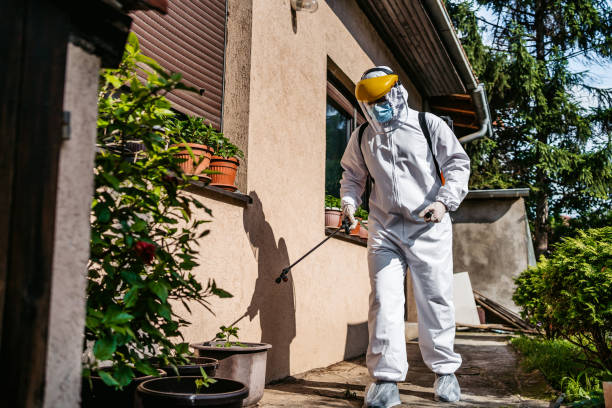 Best Cockroach Control Services  in Benson, UT