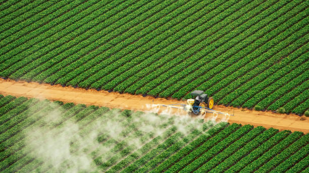 Best Pest Prevention Services  in Benson, UT