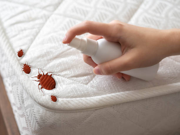 Best Insect Control  in Benson, UT