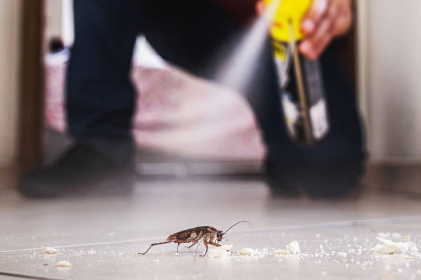 Best Commercial Pest Control Services  in Benson, UT