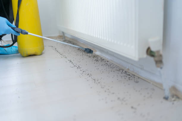 Best Local Pest Control Services  in Benson, UT