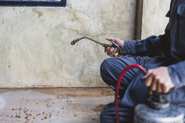 Best Affordable Pest Control Services  in Benson, UT
